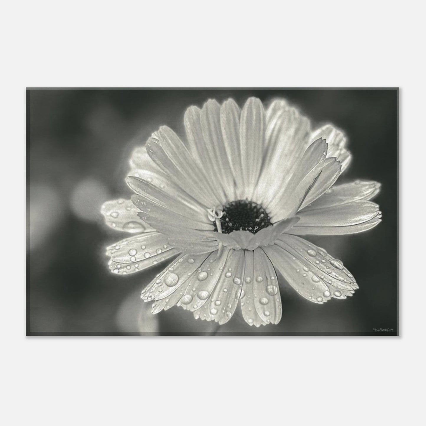62d44e77-706c-44e2-bee0-e754b4dbf333