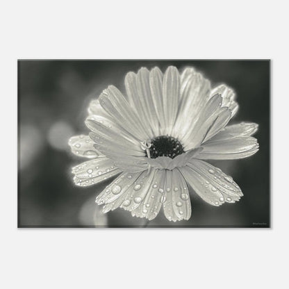 62d44e77-706c-44e2-bee0-e754b4dbf333