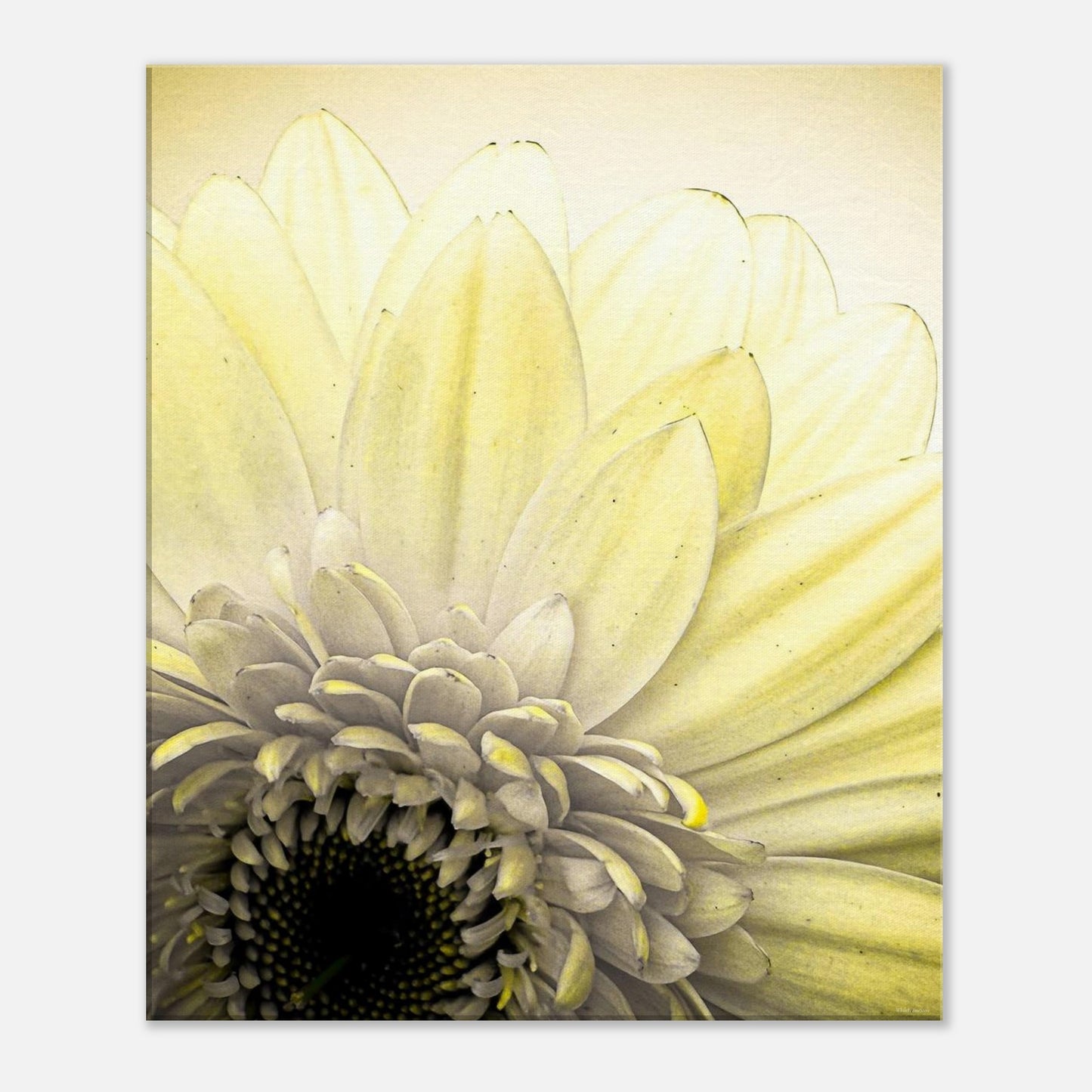 62d5c467-ee4d-485a-b0c7-4fd0c660d0e2