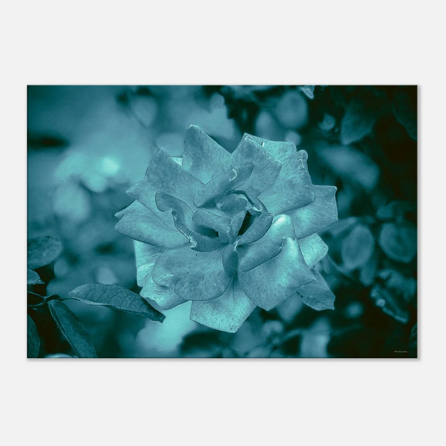 62d75a39-f80b-40cd-9be2-614adc63545d