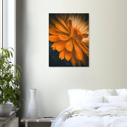 62e46b11-92cb-48a9-94b0-9966d8509383