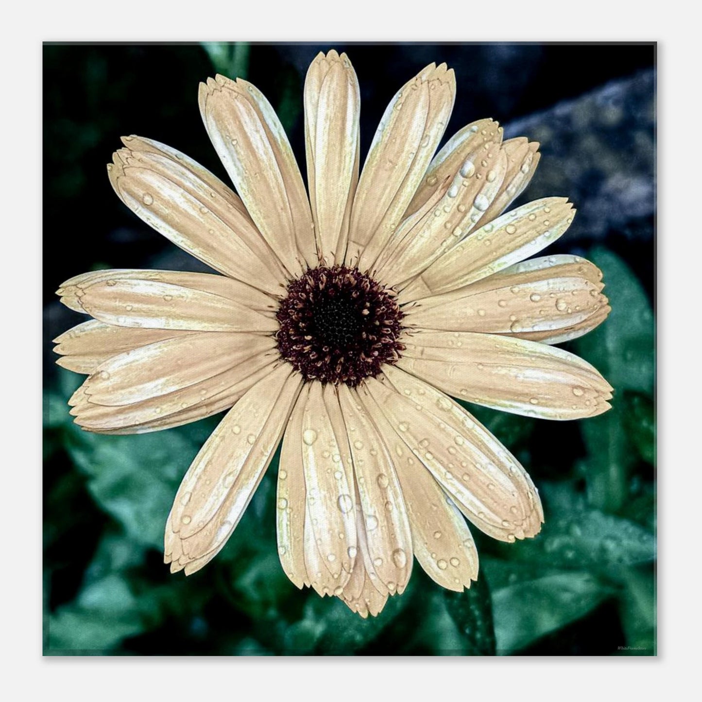 62f4b15d-b619-4bb1-9d91-aabebde9c33e