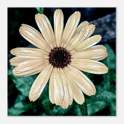 62f4b15d-b619-4bb1-9d91-aabebde9c33e