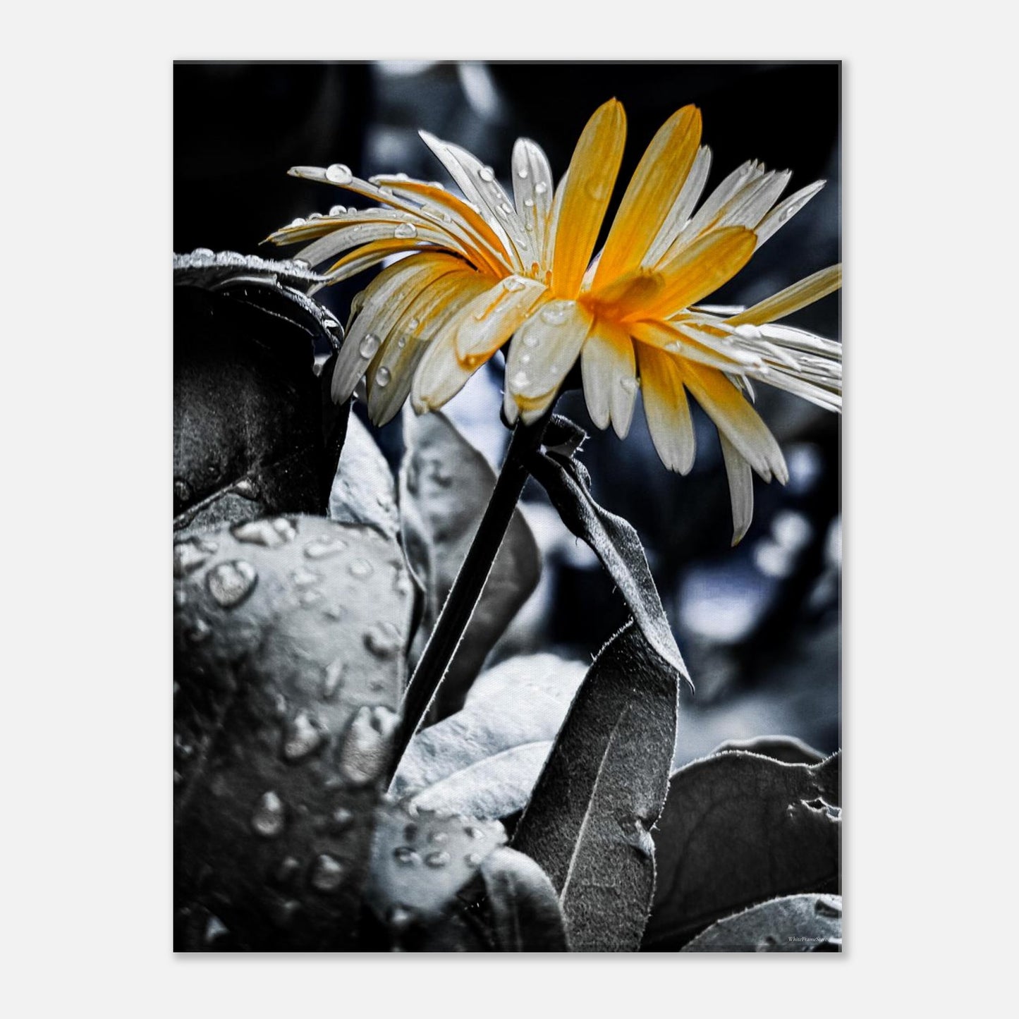 634404b2-f103-4498-9d2d-e1771c61b987