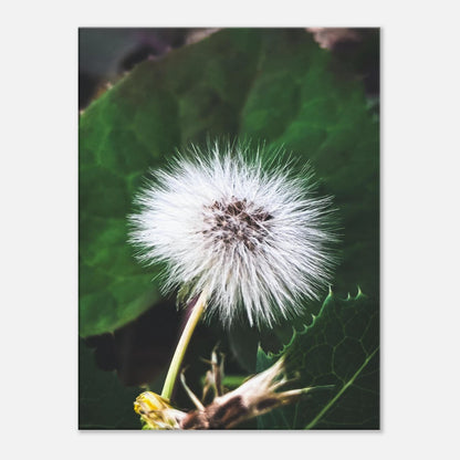 63c81d40-5c4f-4374-928f-f6a64d323e7a