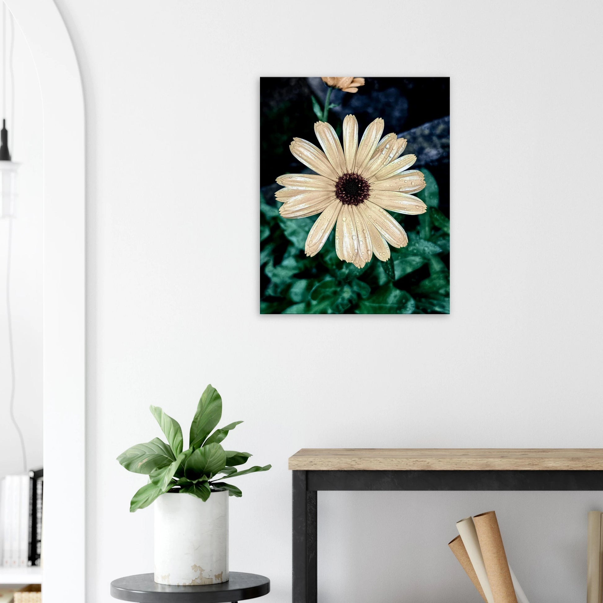 63f3492a-b3c7-4316-be3c-8e00c977818b