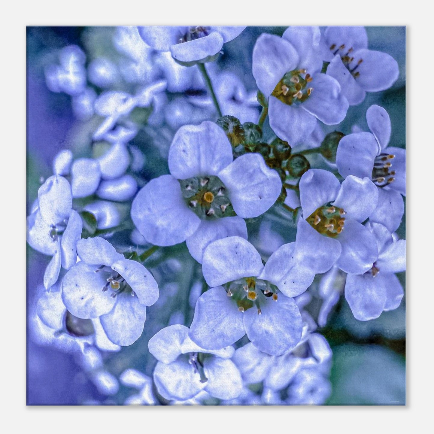 63fcbaca-13c7-4816-bd91-c176818e68d8