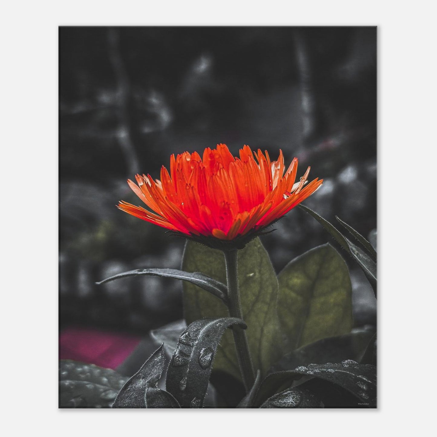 6411a4fe-2ecf-40bb-bc95-5a3603989de4