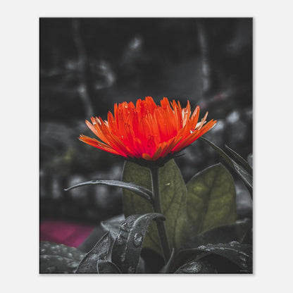 6411a4fe-2ecf-40bb-bc95-5a3603989de4