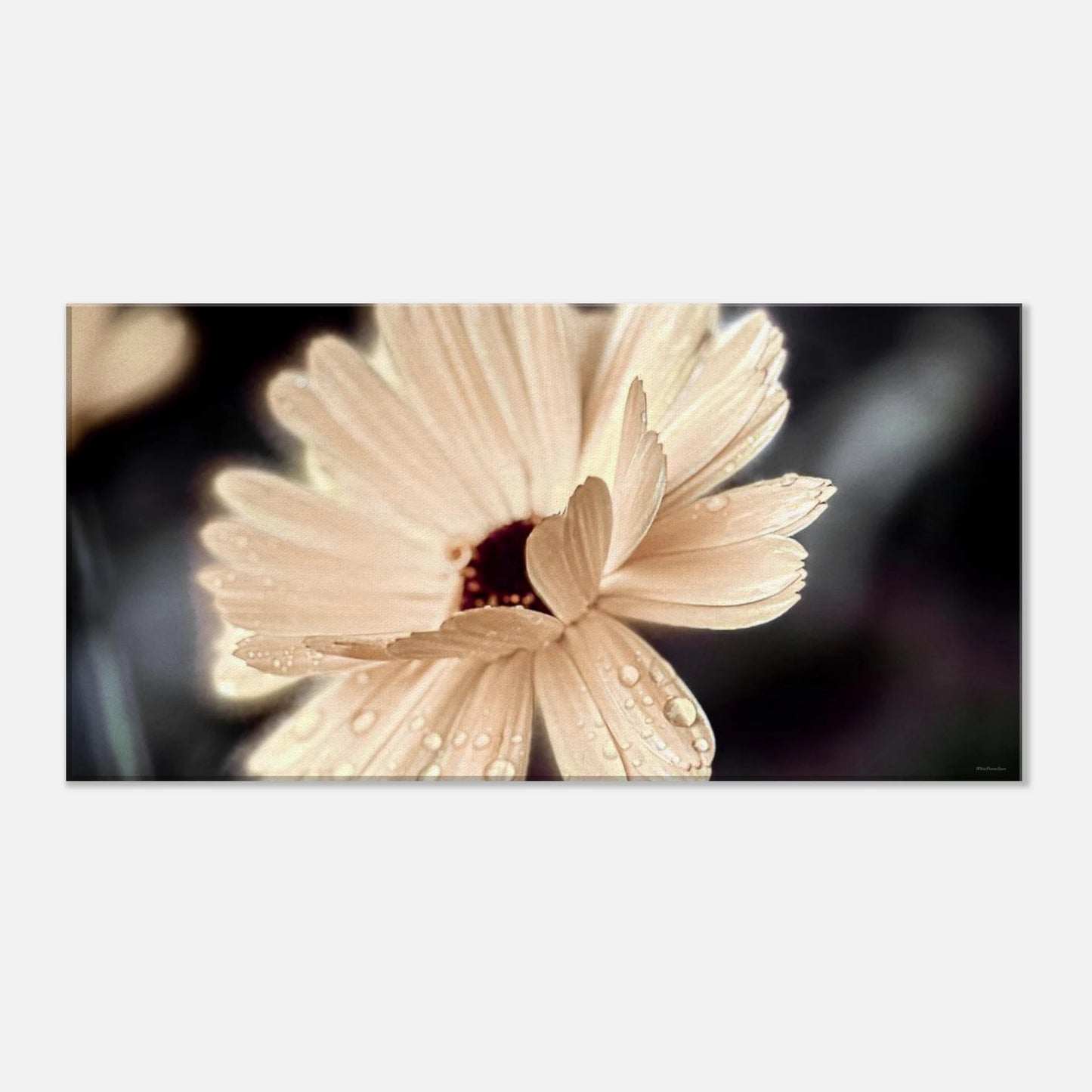 641aaa56-b729-45e4-8d02-32685106cd35