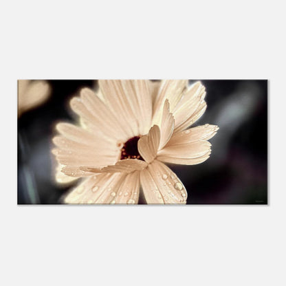 641aaa56-b729-45e4-8d02-32685106cd35