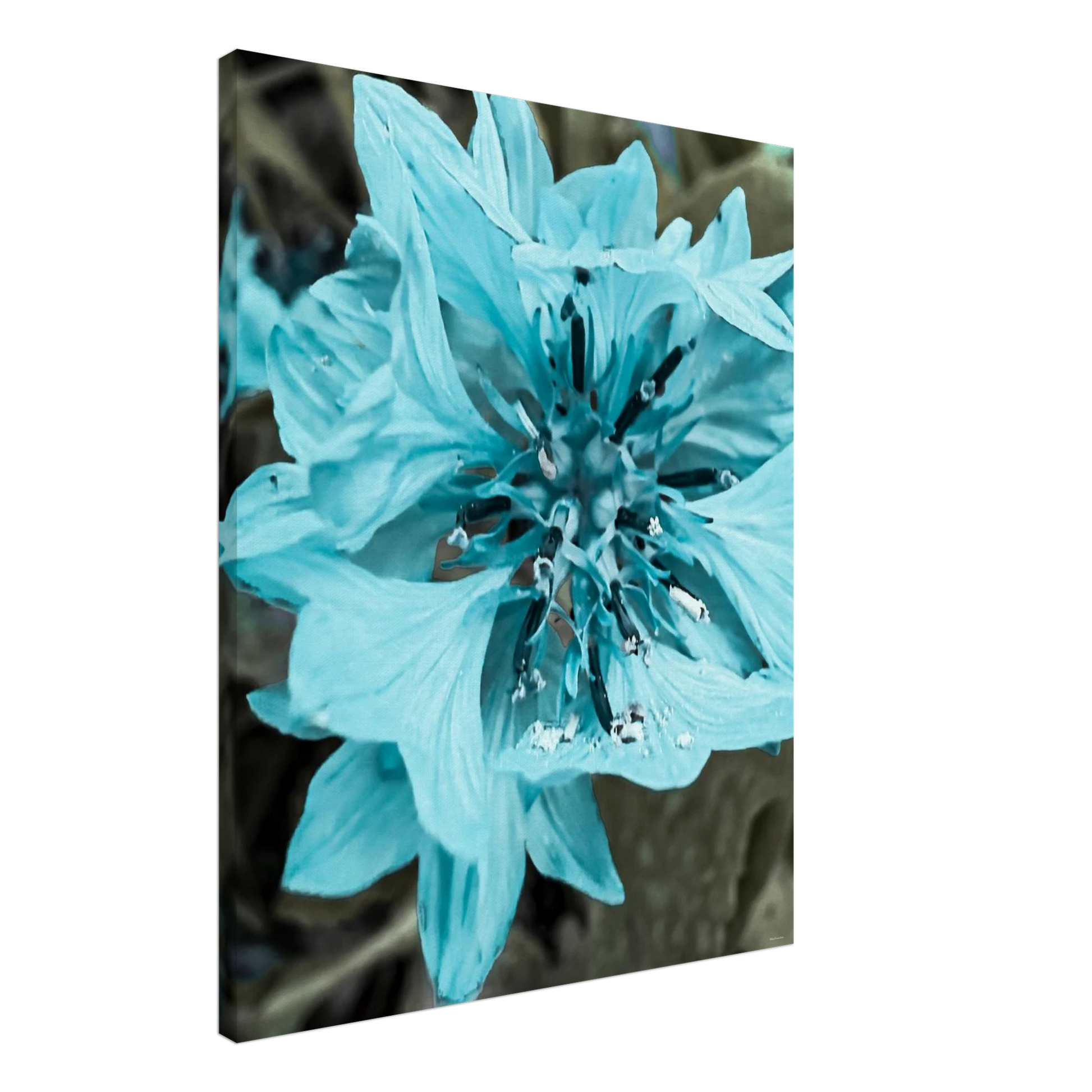 641b013d-af2a-43e0-89f4-52c090d54a04