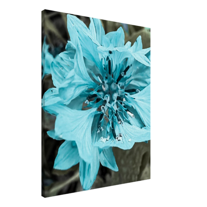 641b013d-af2a-43e0-89f4-52c090d54a04