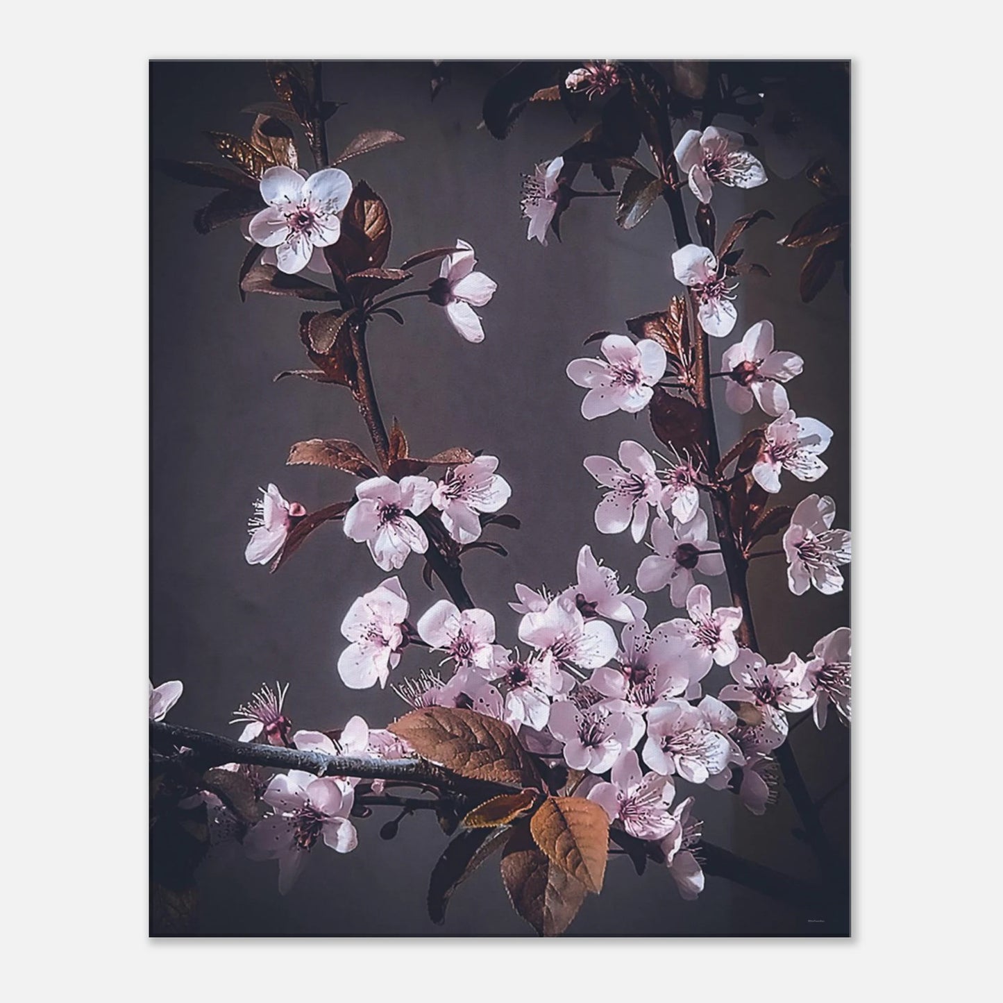 6431a31e-ad94-4b71-9e90-82ec0eee9192