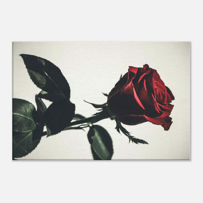 644343e8-0bb6-4646-af6f-b1d2ce273226