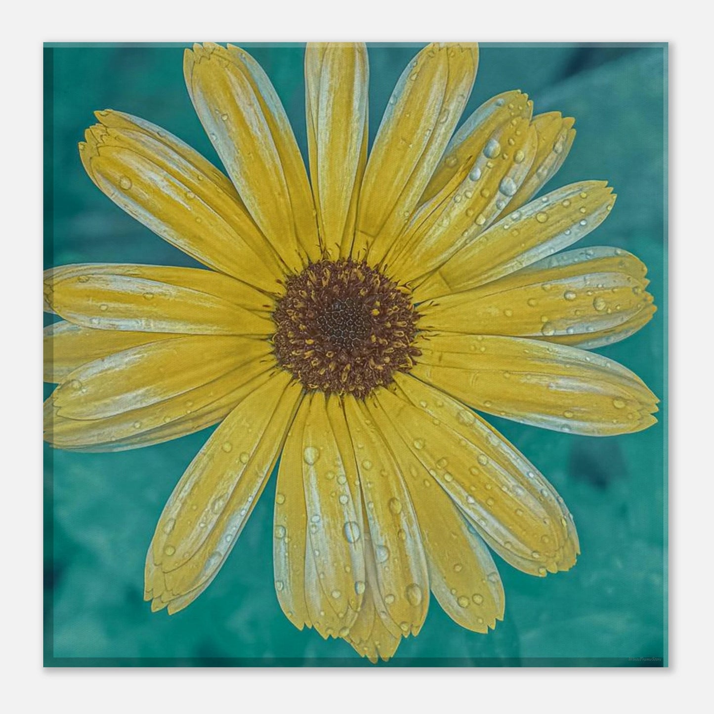 64503401-f1f6-44b5-804d-98fcf9220b43