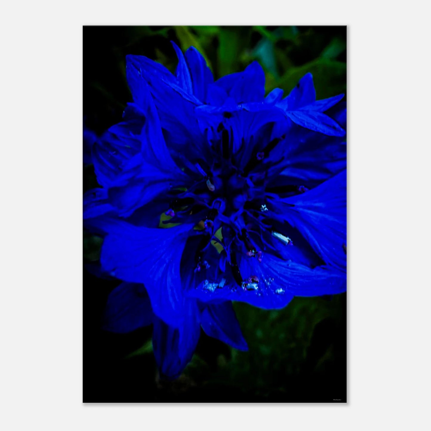 6461449c-a8a4-4c68-b430-6d0c717f6479