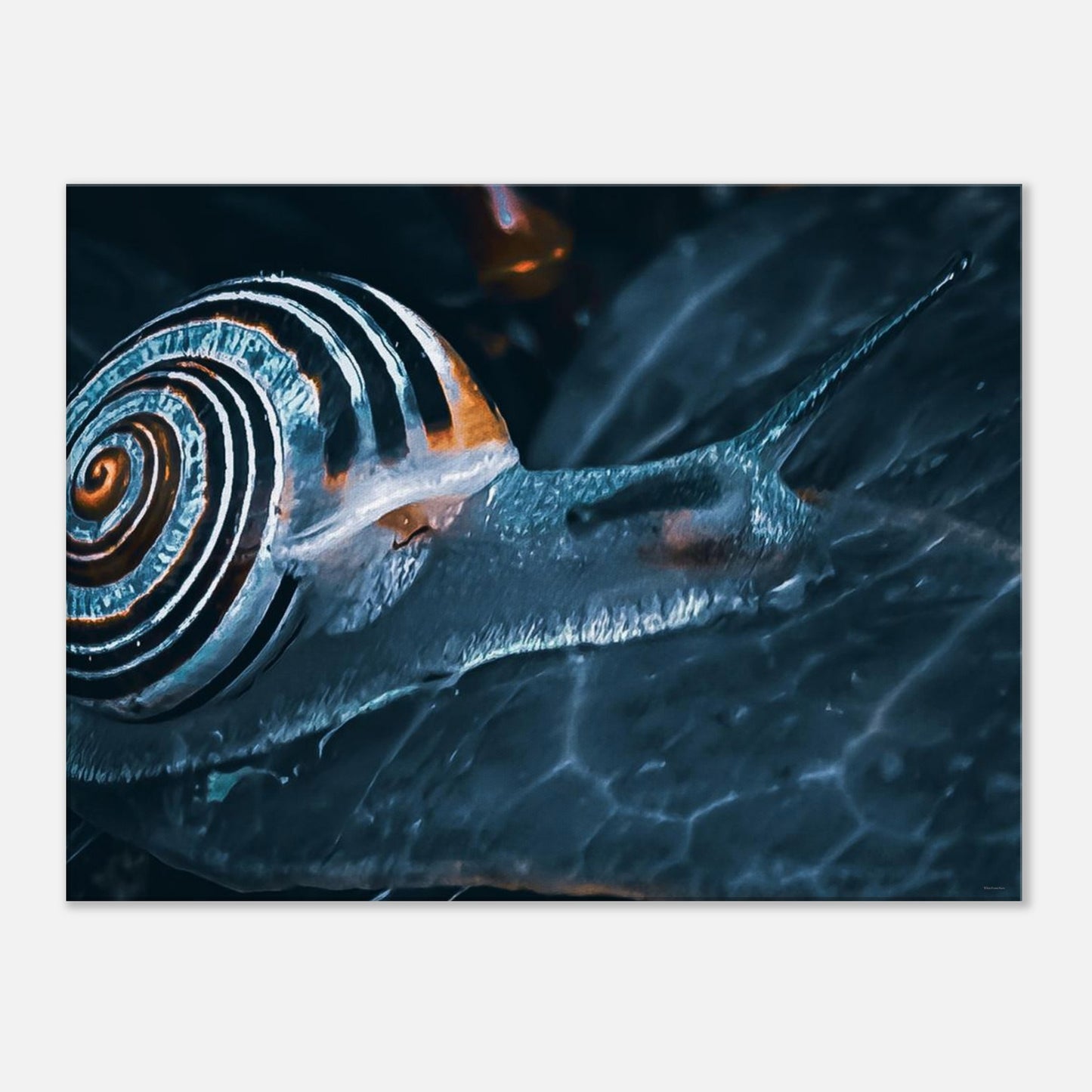 64695597-81cf-496e-94a4-8765e22ed1ee