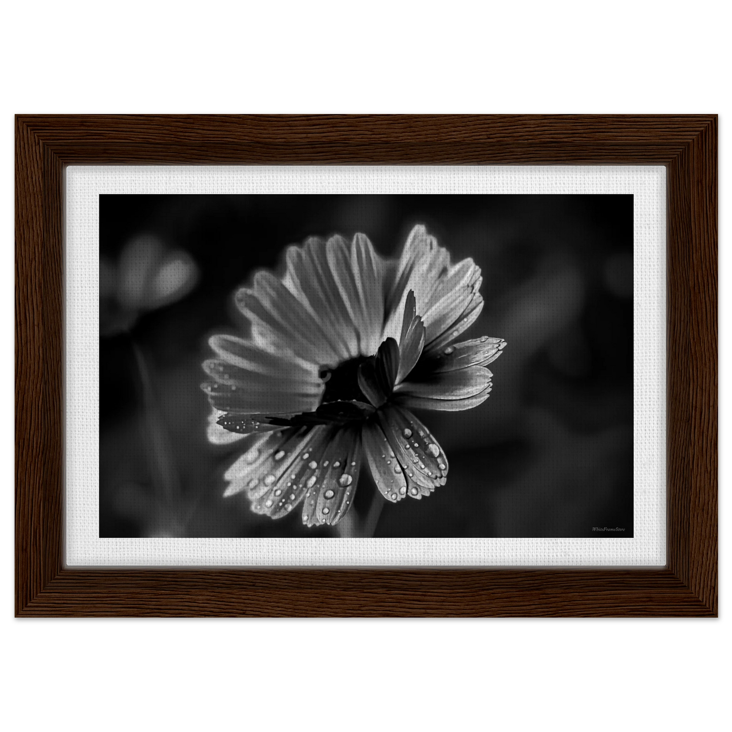 64a31ab0-3f3e-49d2-ad5b-b7430e6f4d8e