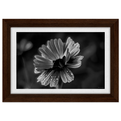 64a31ab0-3f3e-49d2-ad5b-b7430e6f4d8e