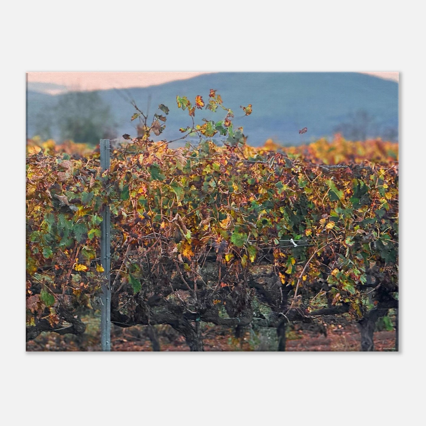 64a90a65-ece6-49ad-94d1-ed5093ce8f92