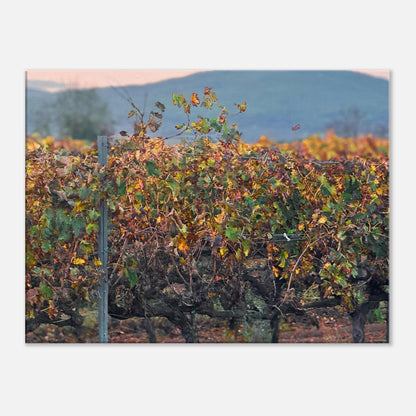 64a90a65-ece6-49ad-94d1-ed5093ce8f92