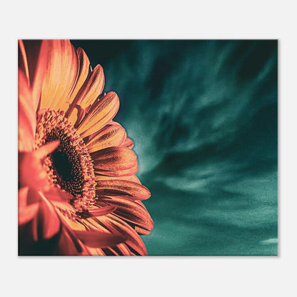 64b04b93-3c08-42de-9aab-93e240ac2bfb