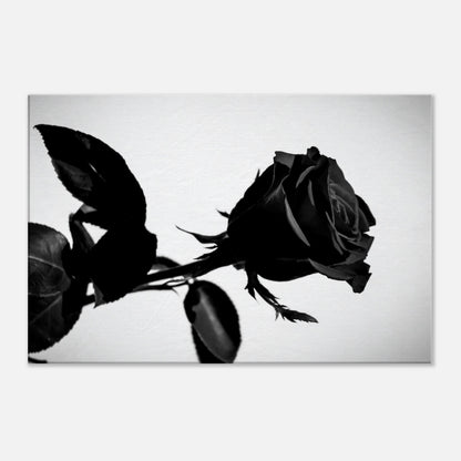 64ee3f0f-6f59-421a-b1a7-46d4e533c481