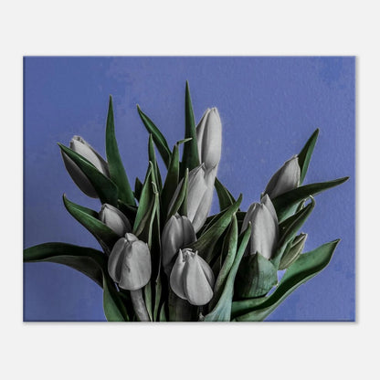 652c1c76-724c-4d85-bddb-26428cb60e1e