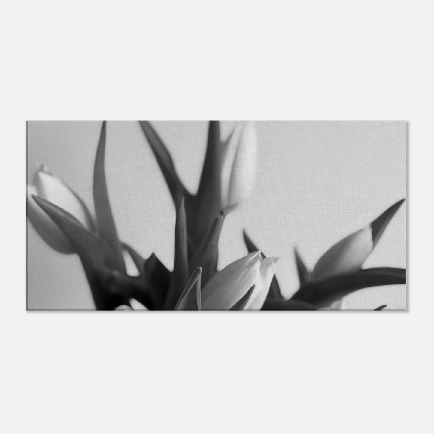 6536ad7c-4b2c-4bc0-a358-bb65514742f3