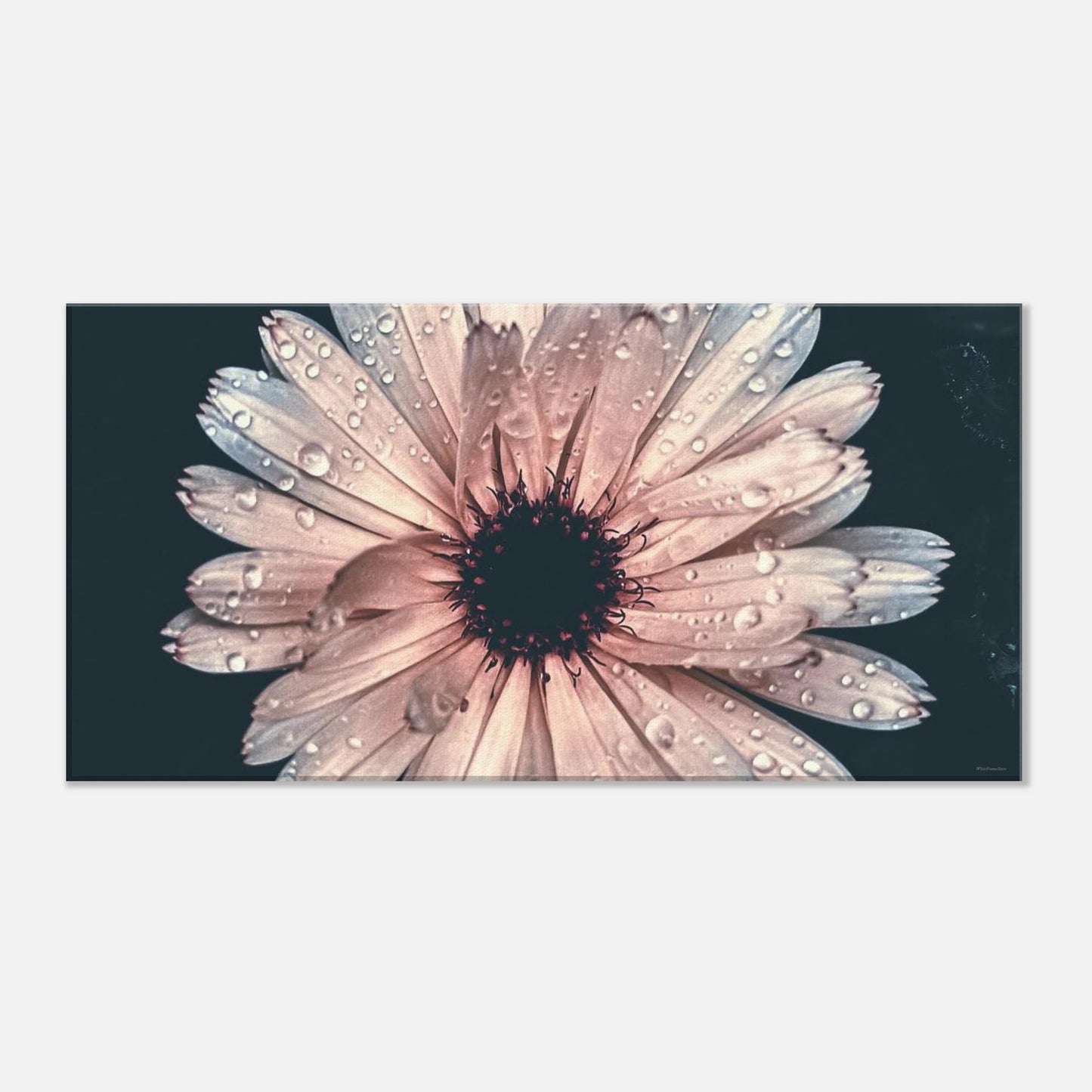 6538a6cd-98c4-414b-ba2f-d23bee1461ed