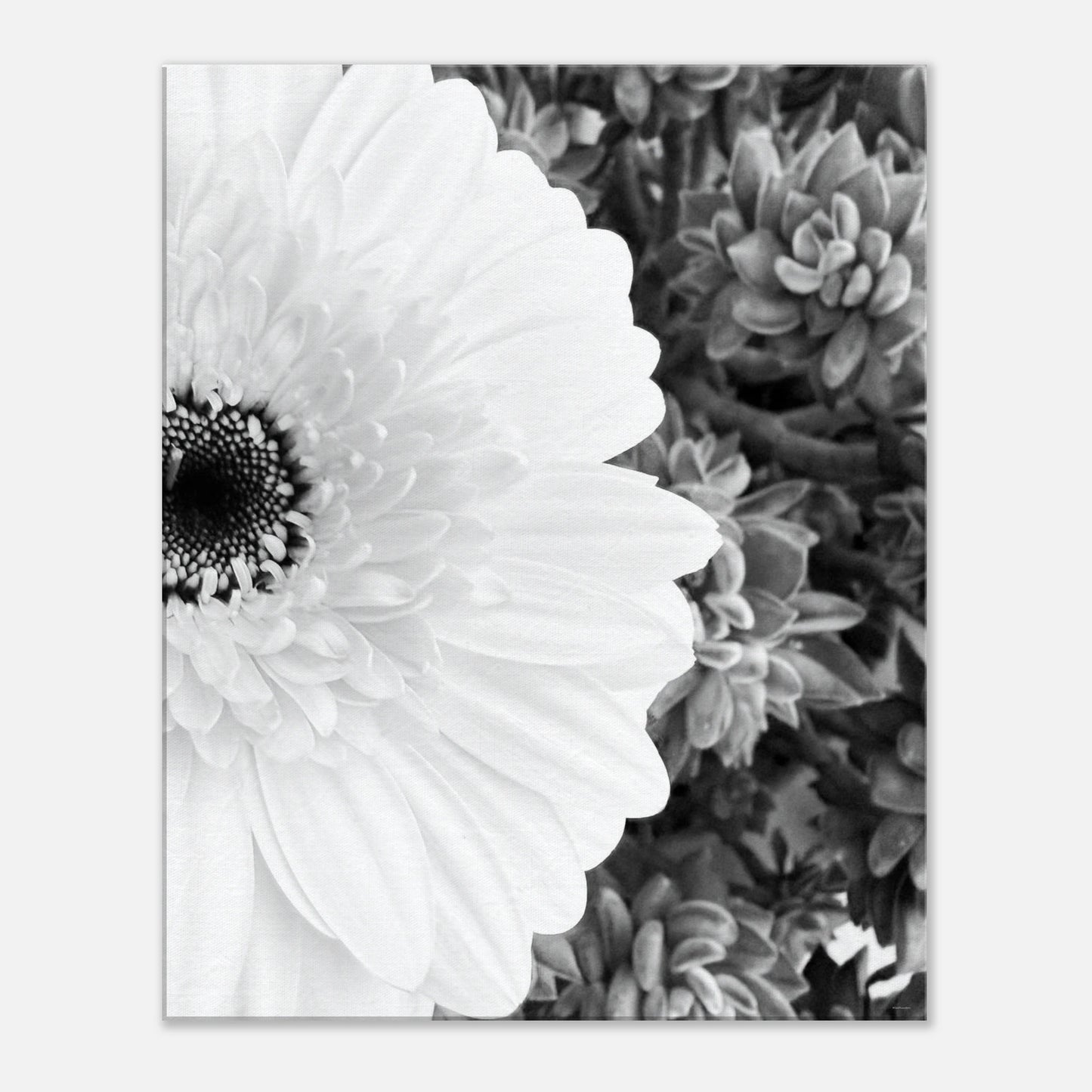 655fe60d-3549-40cc-8599-91fb4db6098b