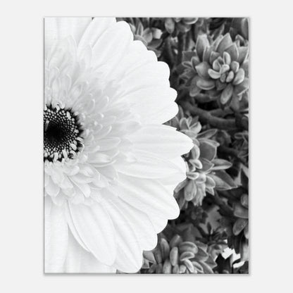 655fe60d-3549-40cc-8599-91fb4db6098b