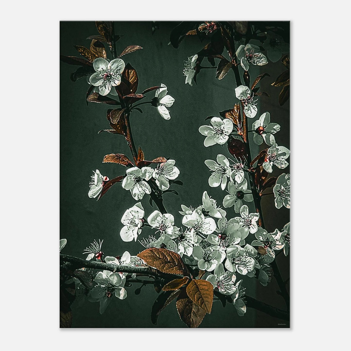 65629828-f28b-4017-a994-891782c6d9fa