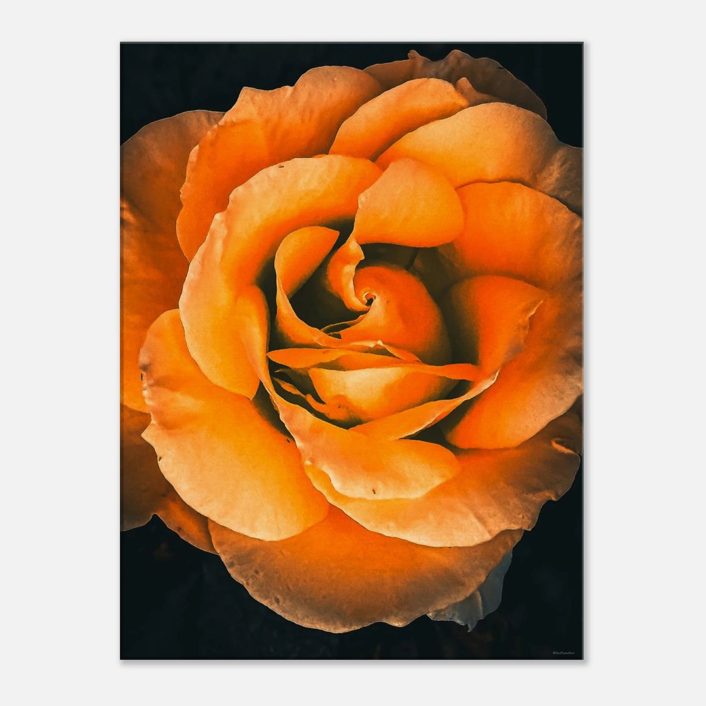 656376f9-9a04-4579-945f-af6150b53a8b