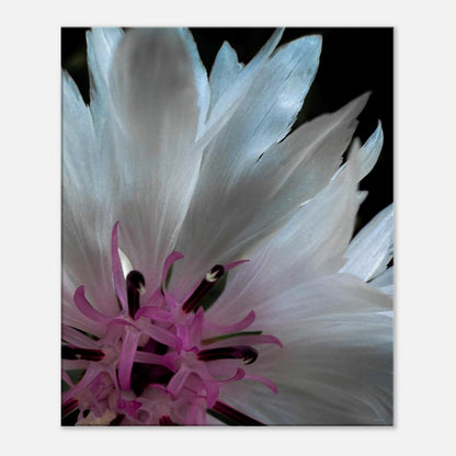 65804f7a-8b3f-4b27-9e00-17bced35e26d