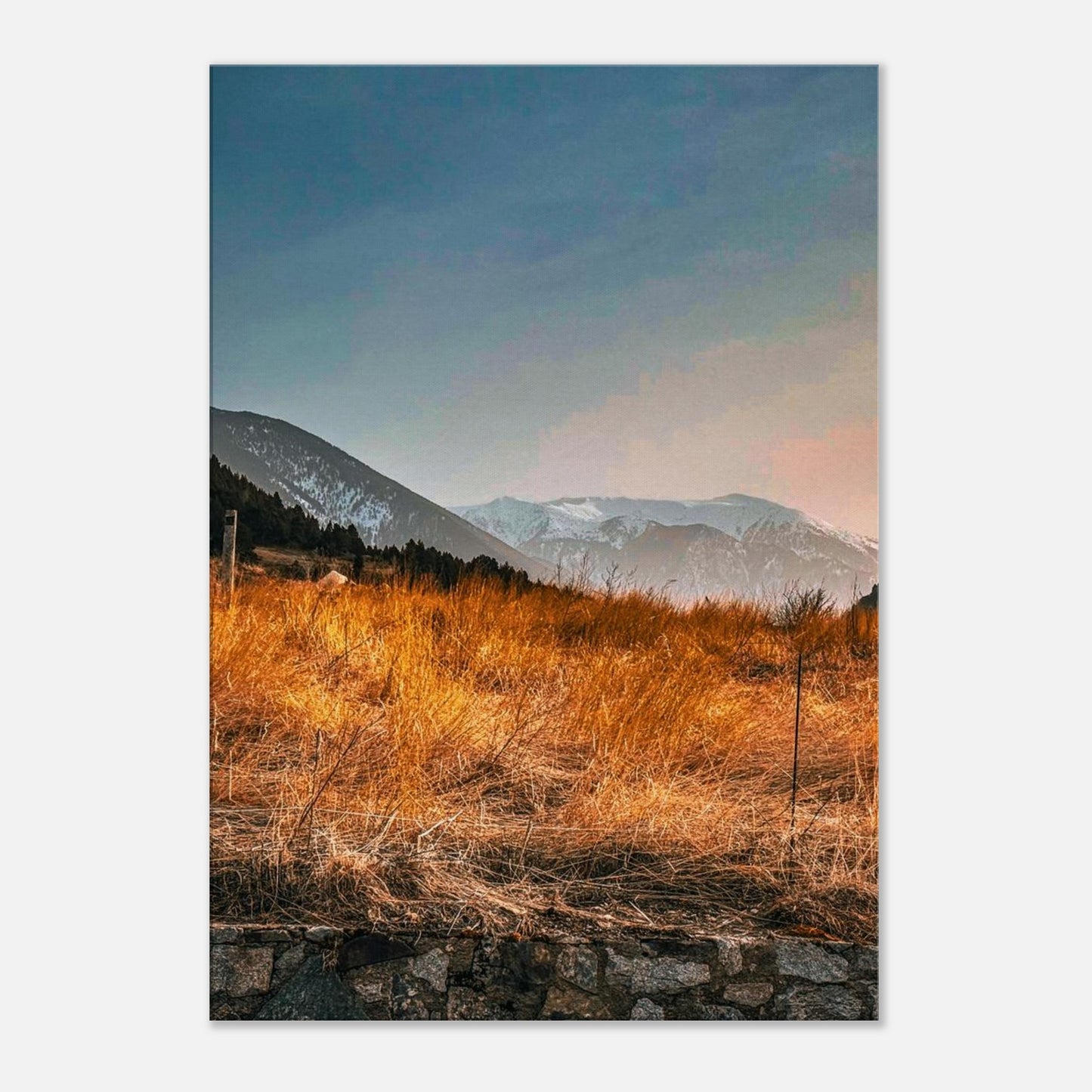 6589213e-d991-48ca-8501-bf13055e4338