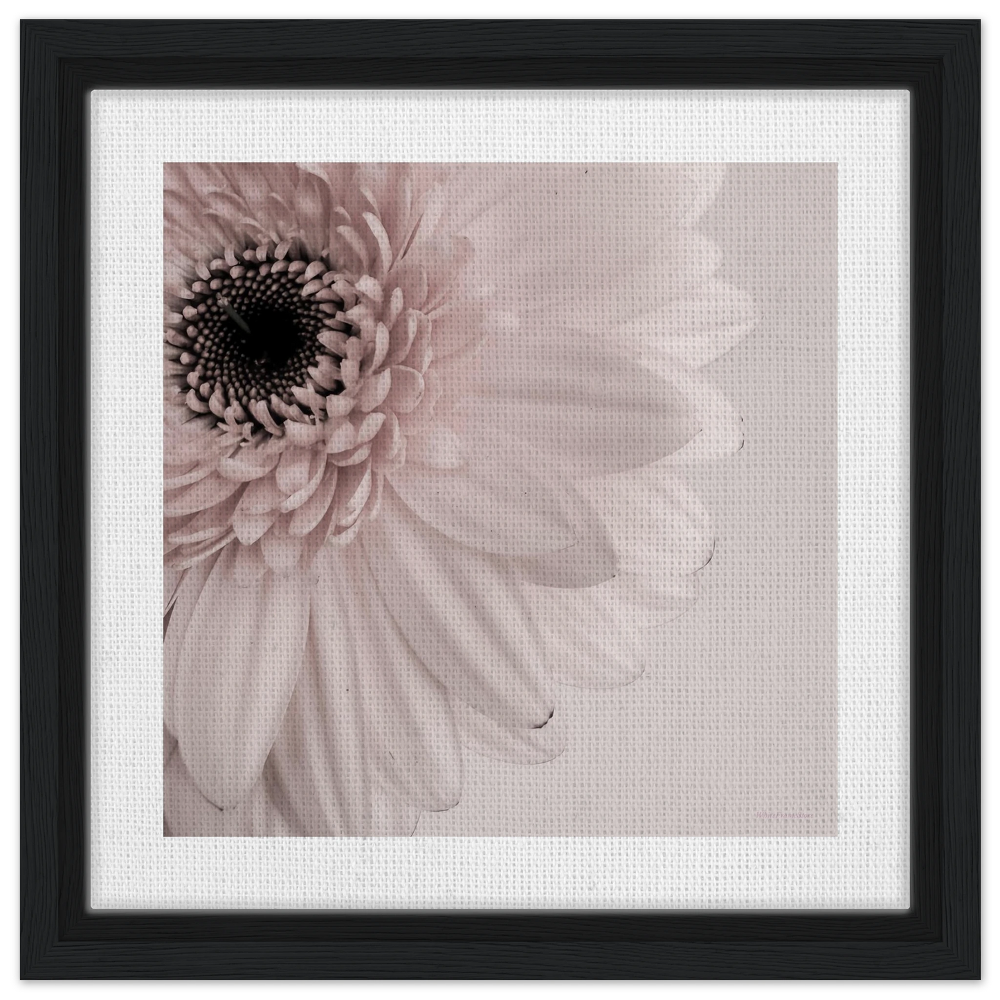 65b2cec2-0edd-4aef-a407-9a949a8fdd1b