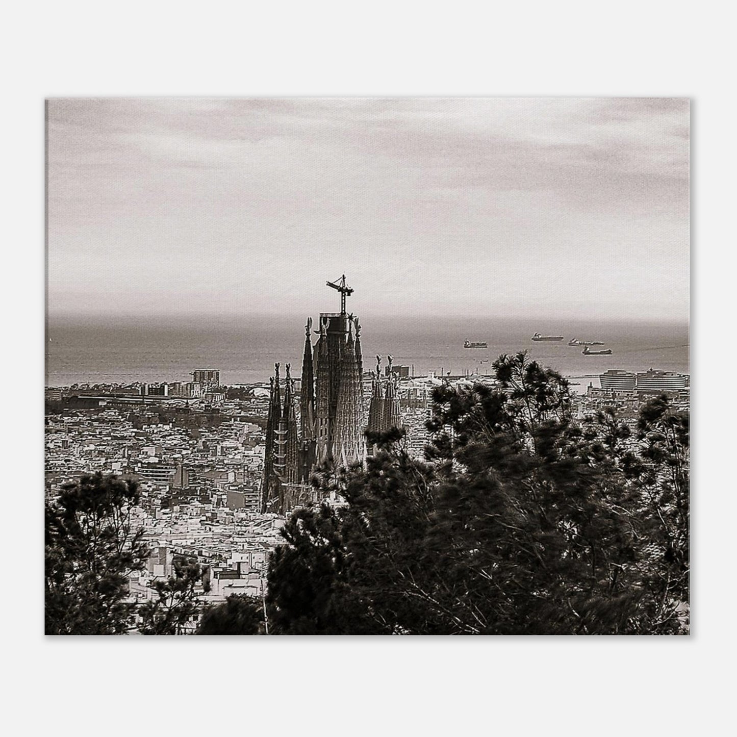 65bc0505-1984-49e1-848f-171ff2627ecf