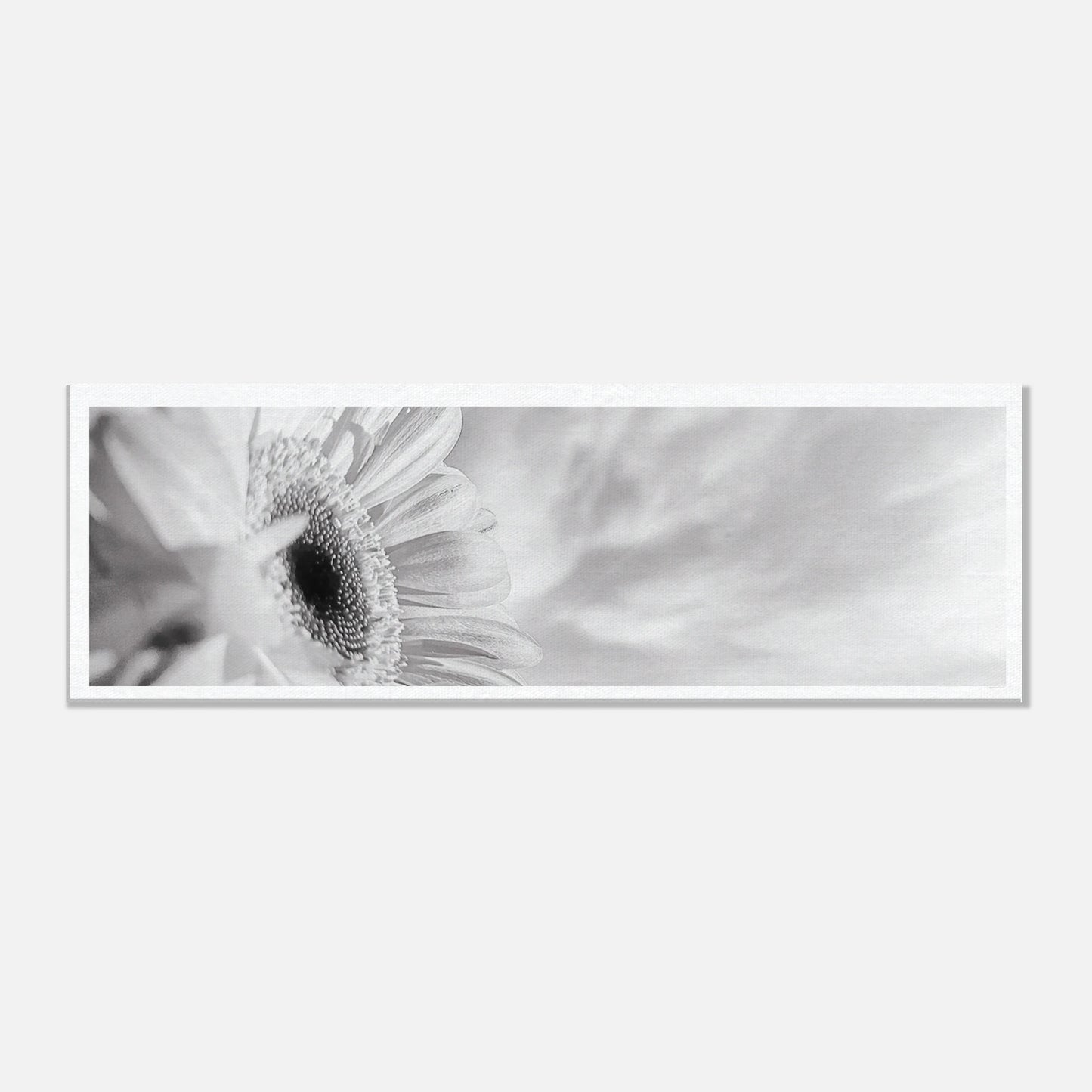 65ef2036-56b4-4240-ac3c-43cb8e739217