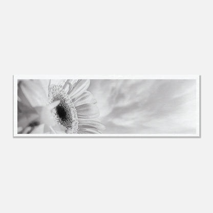 65ef2036-56b4-4240-ac3c-43cb8e739217