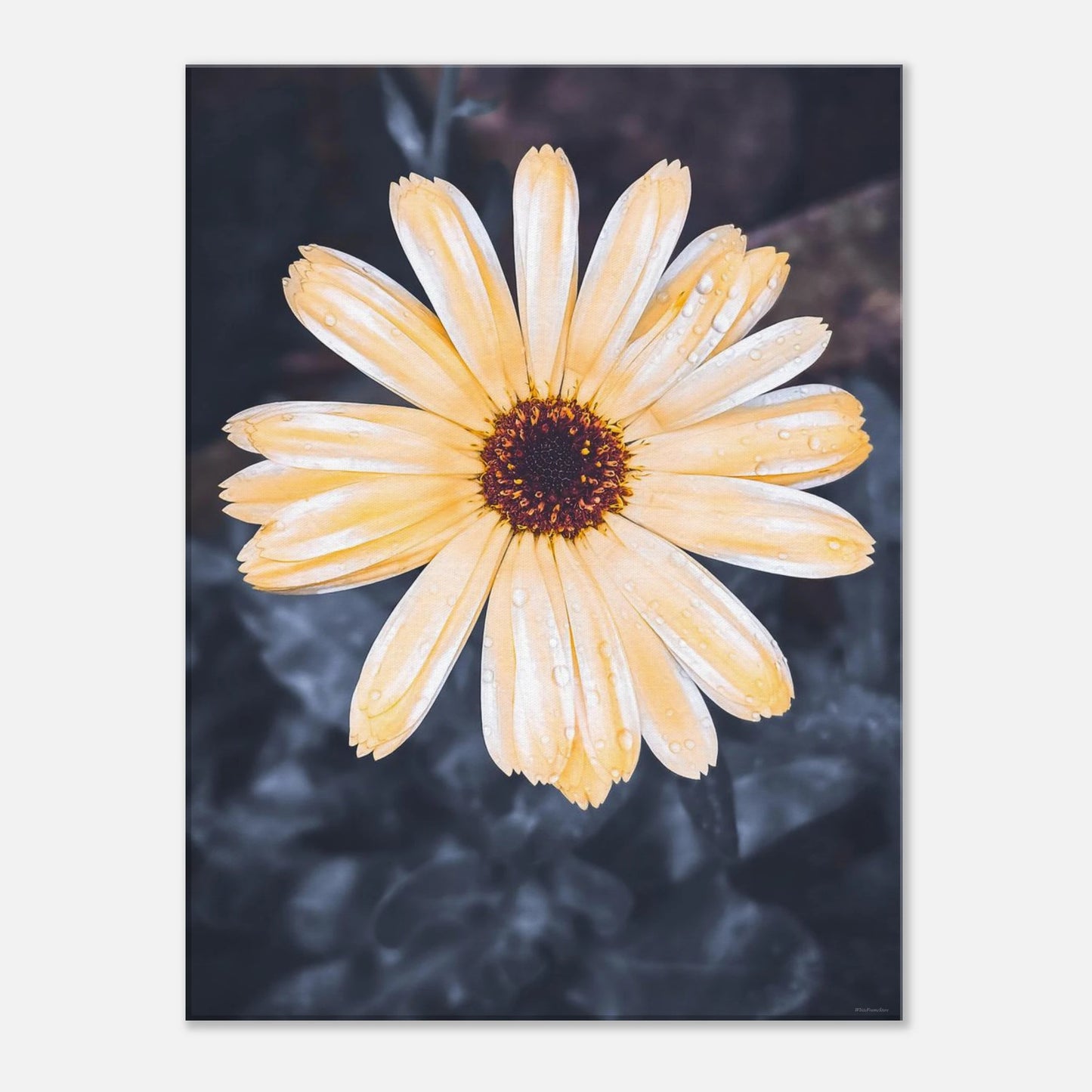 65f29f9a-ad96-4dad-b34b-abd5b31723ef