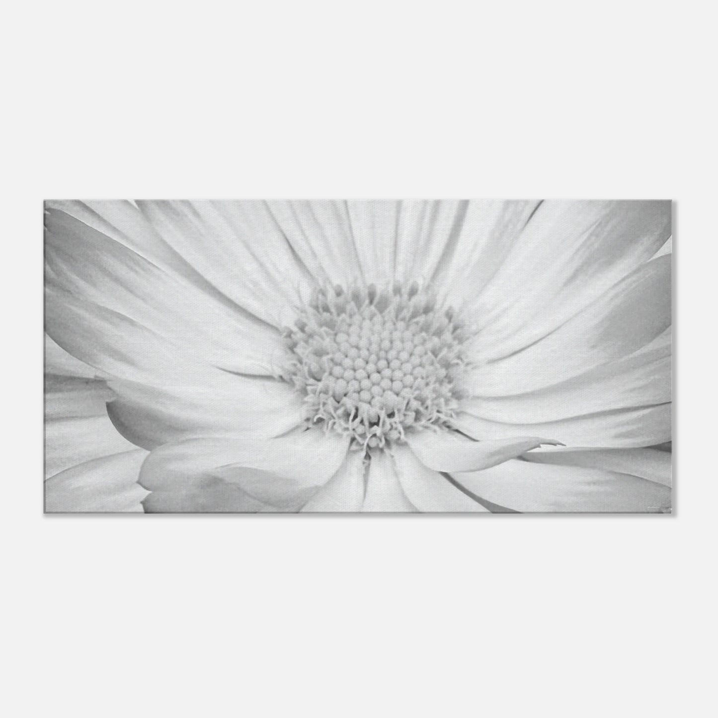 6600c0ce-e70d-40a3-a7d7-047b1e0371b7