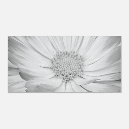 6600c0ce-e70d-40a3-a7d7-047b1e0371b7