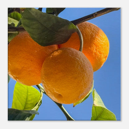 66615d75-99d1-4b03-b94b-6a733f12b1ee