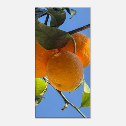 6668dc1a-98ee-4309-9f93-a962ac3e2616