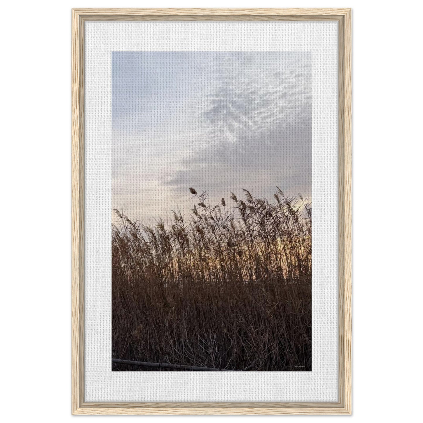 669092a4-2a4f-43bd-81a9-08125ba1212c