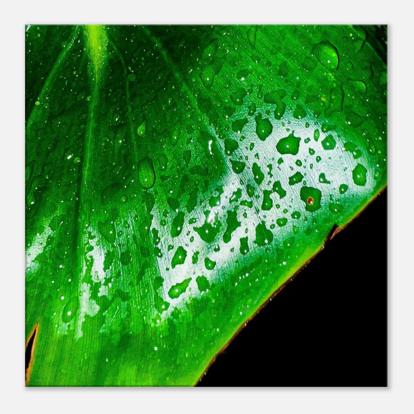 66c76c57-e652-4b8f-8ee1-aa75011841b7