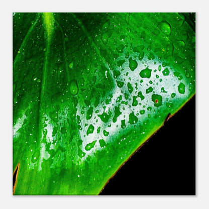 66c76c57-e652-4b8f-8ee1-aa75011841b7