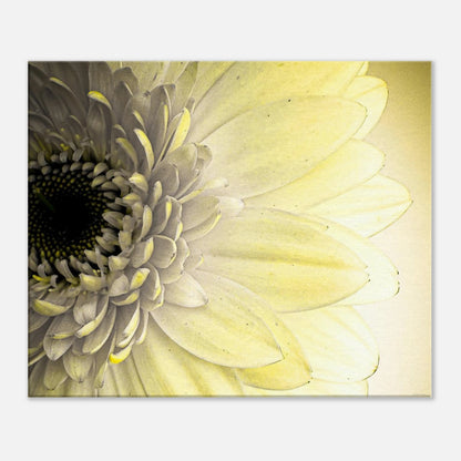 66efe430-012b-43e4-b74d-84a31a1b7e4c